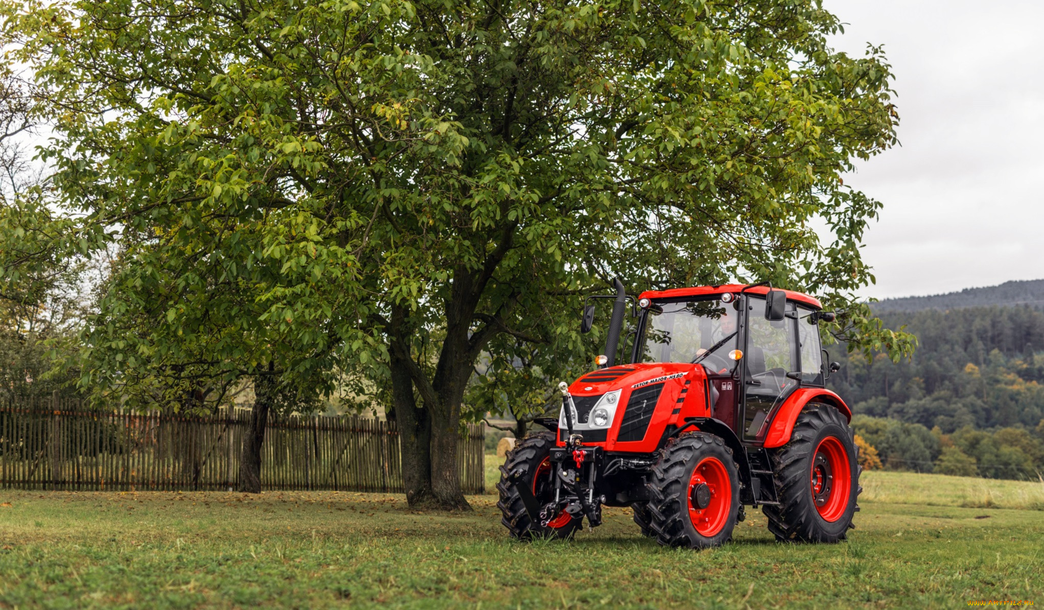 , , zetor, major